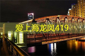 上海新茶工作室：深入上海新茶工作室，发现品味与艺术的完美融合！